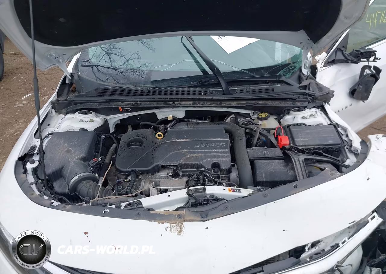2021 Chevrolet Malibu Fwd Lt VIN:1G1ZD5ST1MF058159 - 10