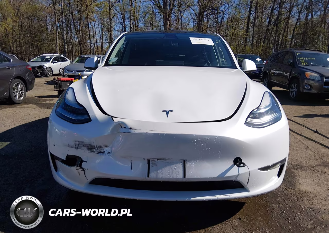 2023 Tesla Model Y Awd-Long Range Dual Motor All-Wheel Drive VIN:7SAYGDEE3PA097541 - 12