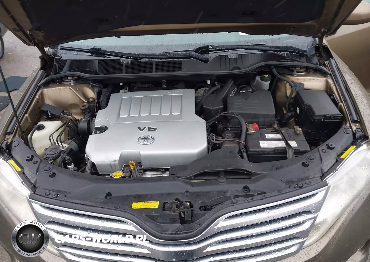 2009 Toyota Venza Base V6 VIN:4T3BK11A19U017527 - 10
