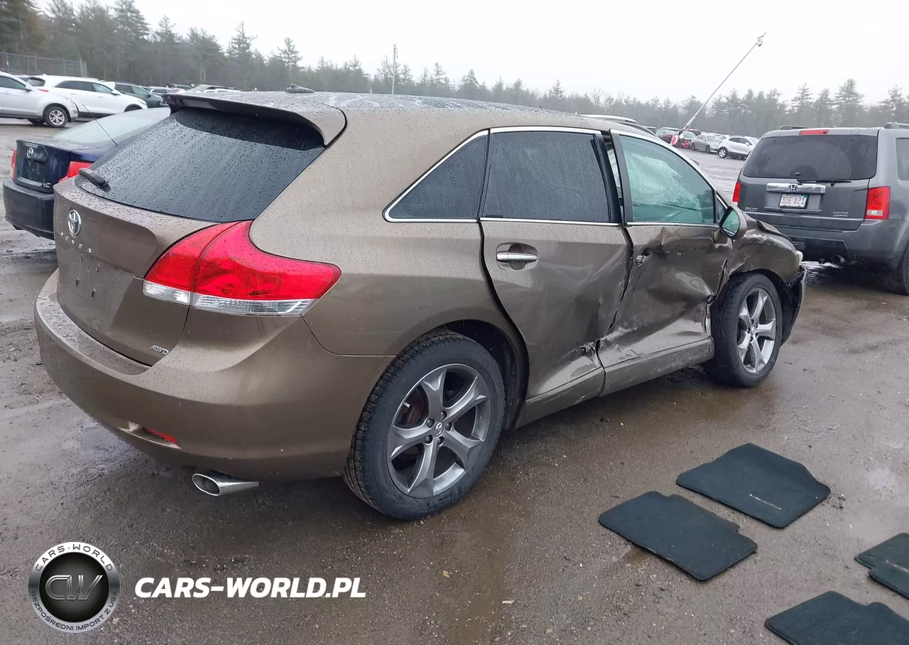 2009 Toyota Venza Base V6 VIN:4T3BK11A19U017527 - 4