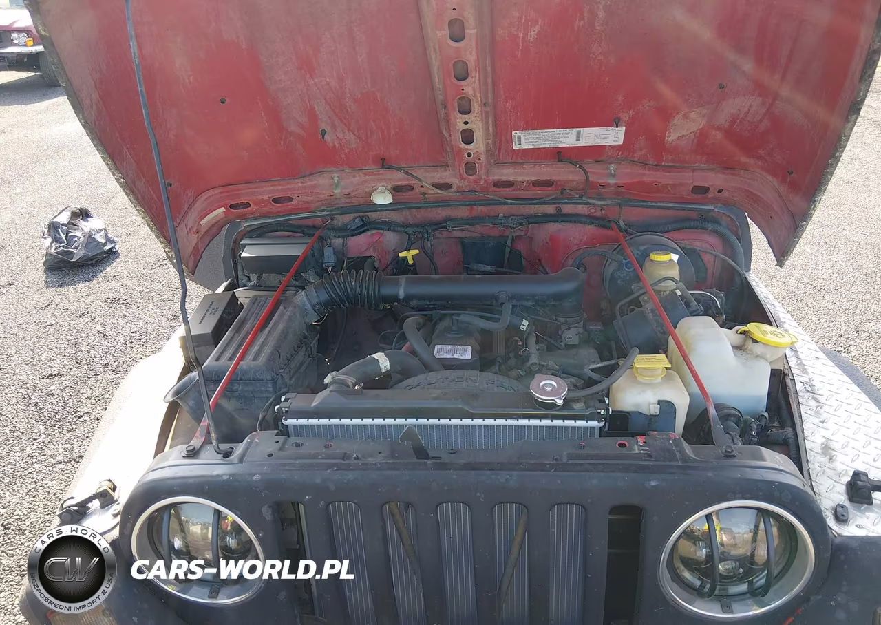 1997 Jeep Wrangler Sport VIN:1J4FY19S2VP446110 - 10