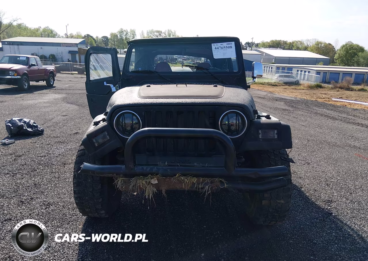 1997 Jeep Wrangler Sport VIN:1J4FY19S2VP446110 - 13
