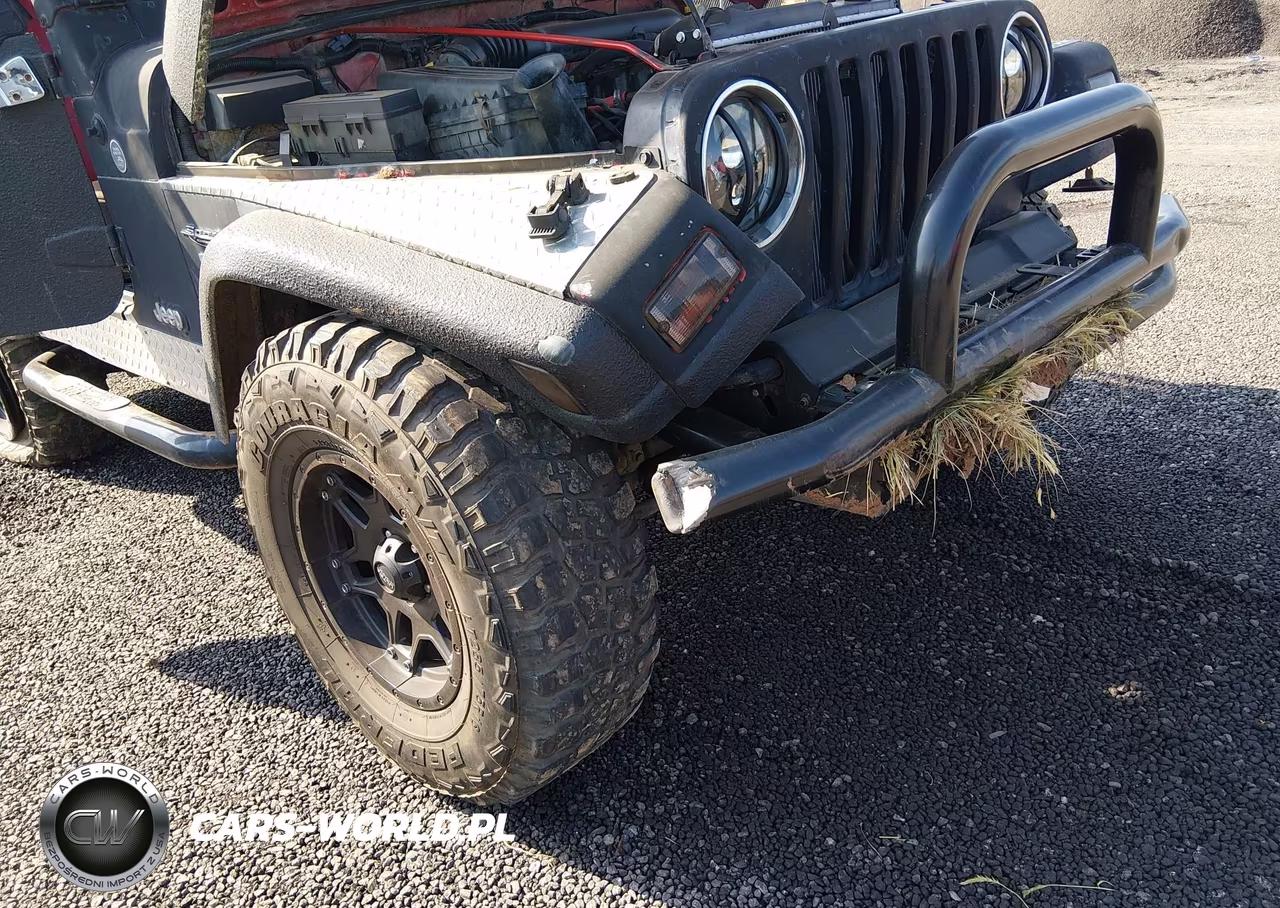 1997 Jeep Wrangler Sport VIN:1J4FY19S2VP446110 - 6
