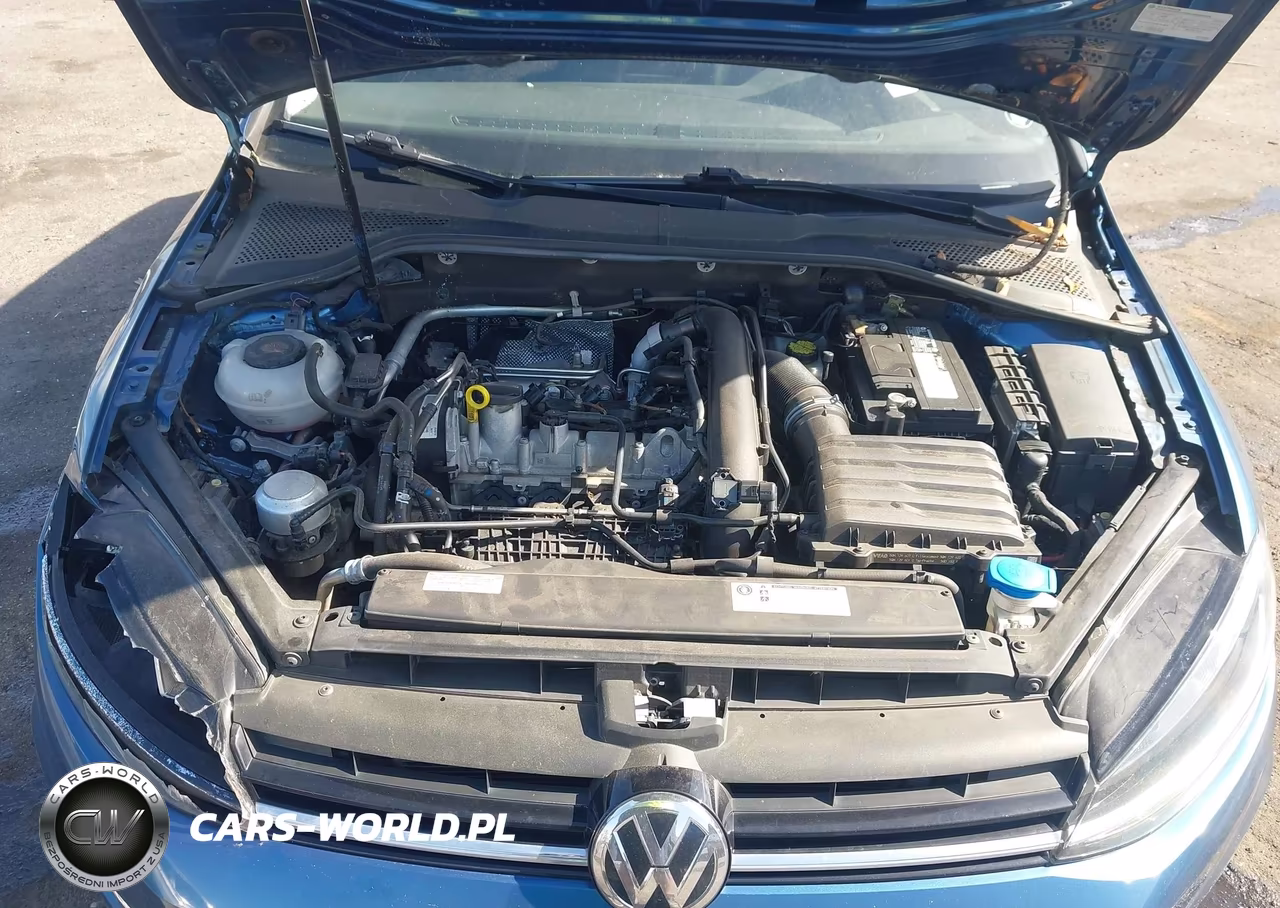 2020 Volkswagen Golf 1.4T Tsi VIN:3VWG57AU8LM004435 - 10
