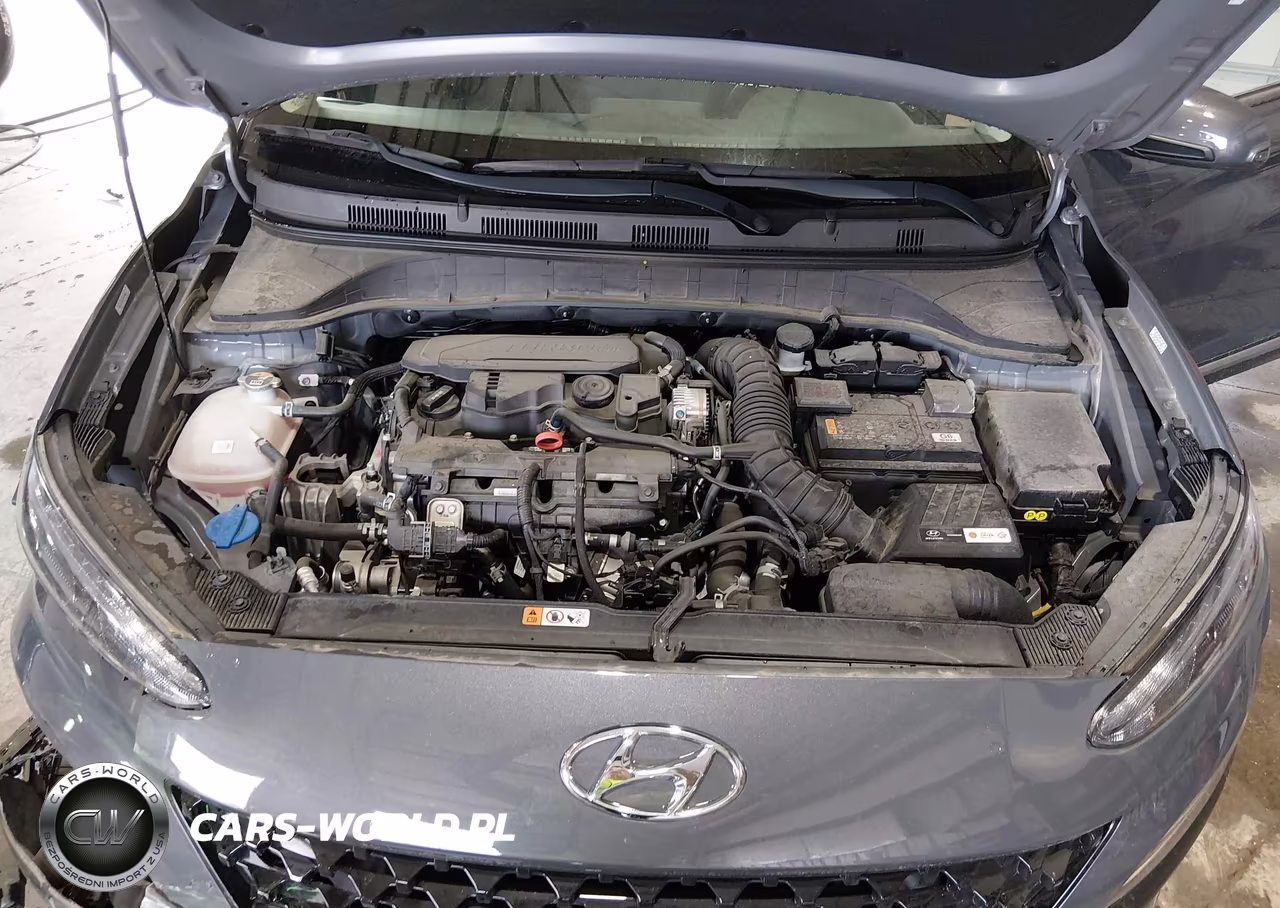 2023 Hyundai Kona Limited VIN:KM8K5CA37PU997324 - 10