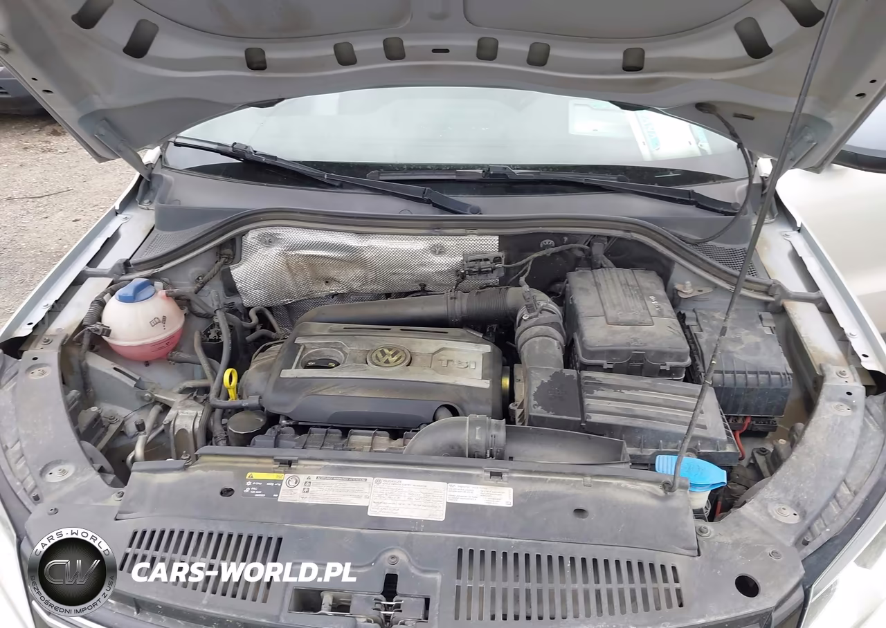 2014 Volkswagen Tiguan S VIN:WVGAV3AX9EW522080 - 10