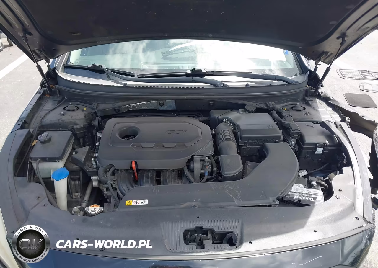 2017 Hyundai Sonata VIN:5NPE24AF5HH513754 - 10