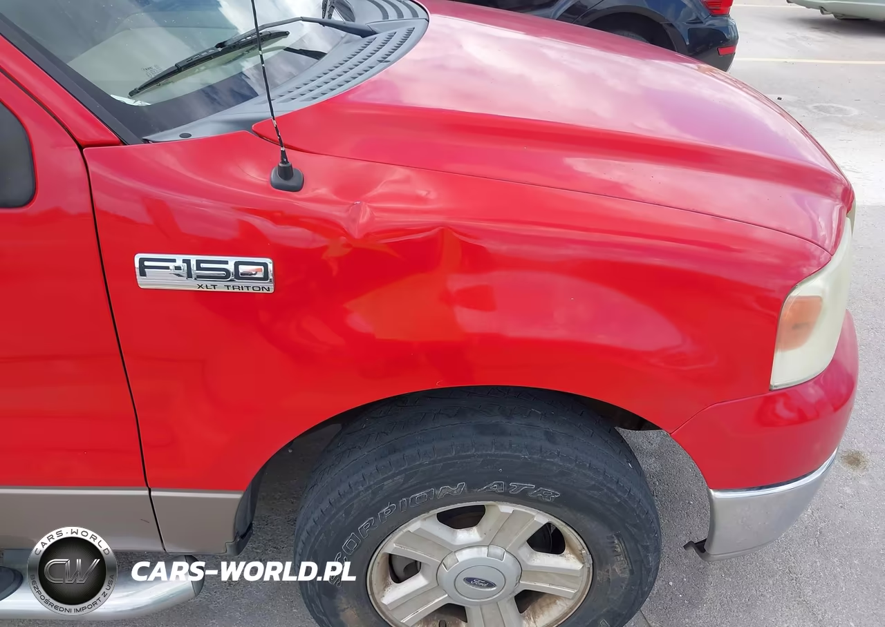 2004 Ford F-150 Stx-Xl-Xlt VIN:1FTRX12W64NB03118 - 6