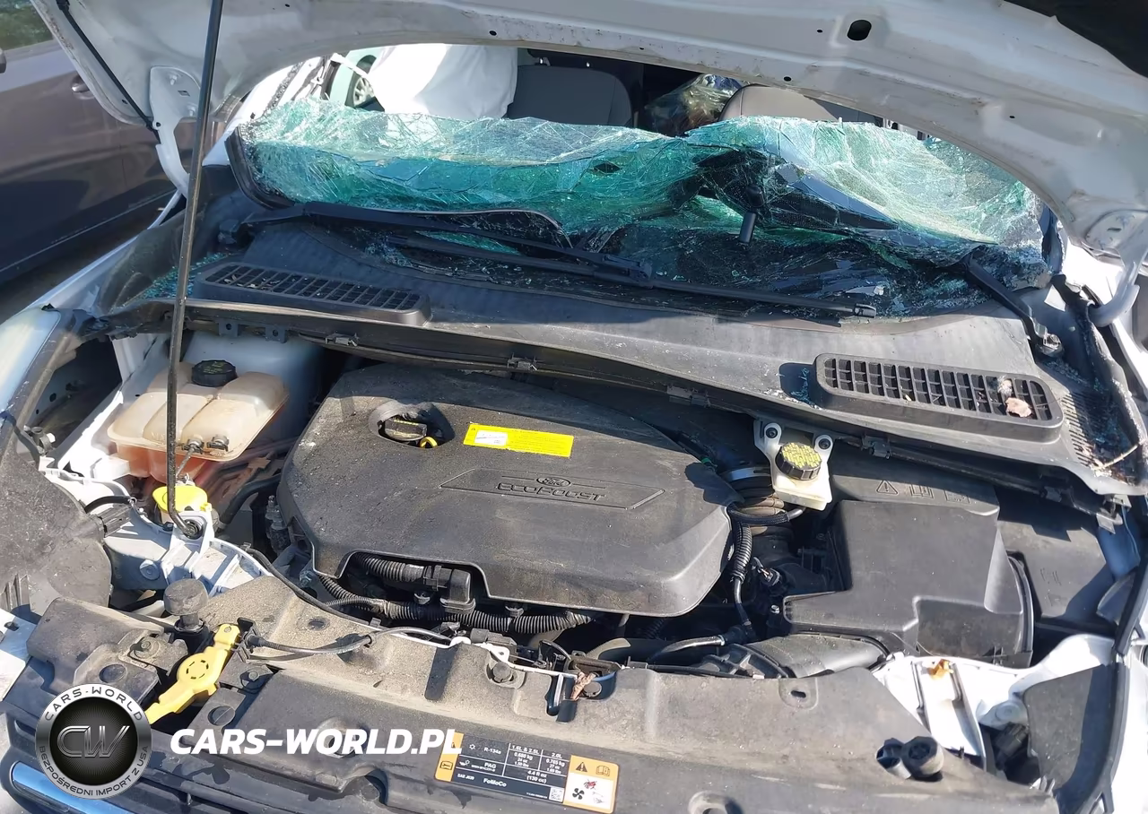 2016 Ford Escape Se VIN:1FMCU0GX7GUB30053 - 10