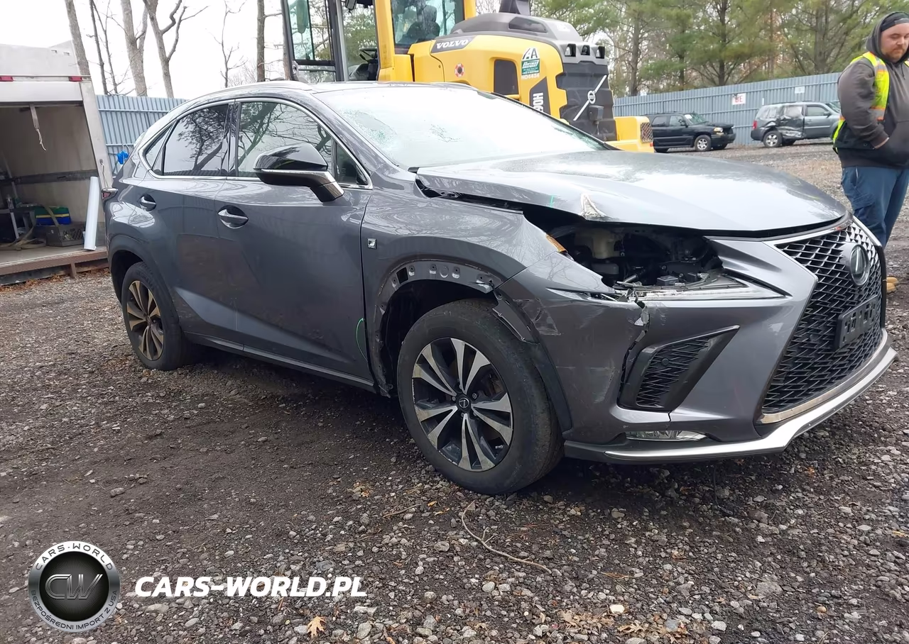 2021 Lexus Nx 300 F Sport