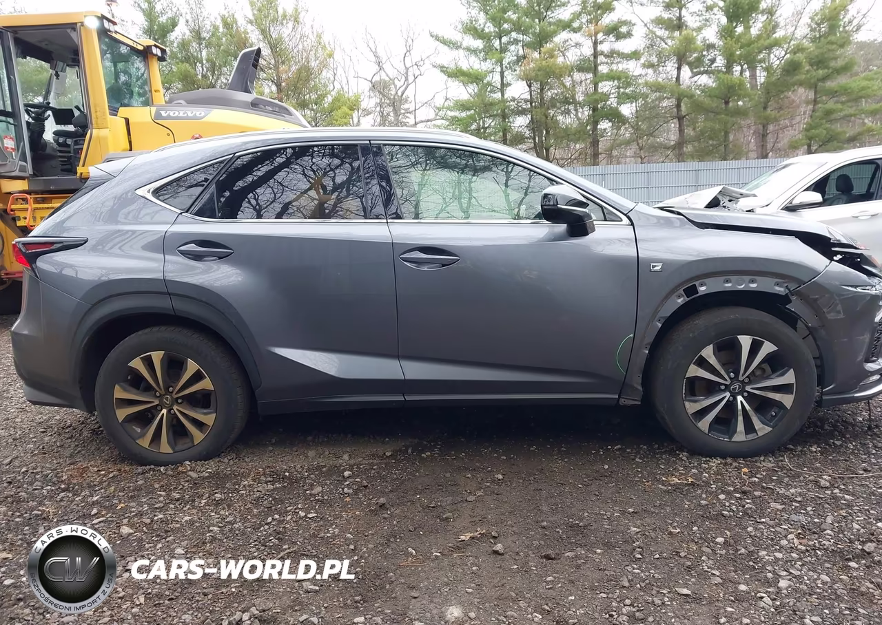 2021 Lexus Nx 300 F Sport VIN:JTJSARDZ0M2240501 - 13