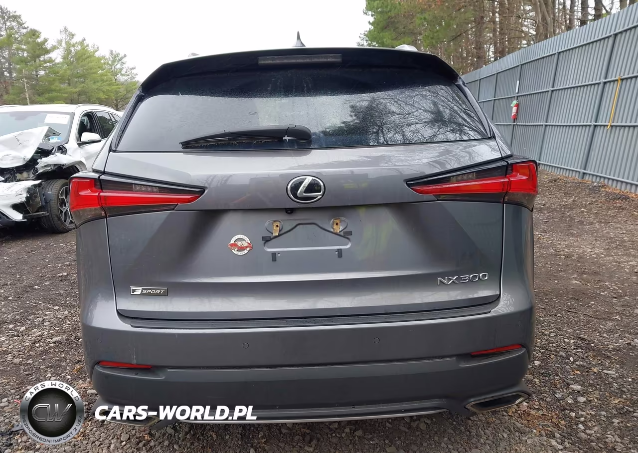 2021 Lexus Nx 300 F Sport VIN:JTJSARDZ0M2240501 - 16