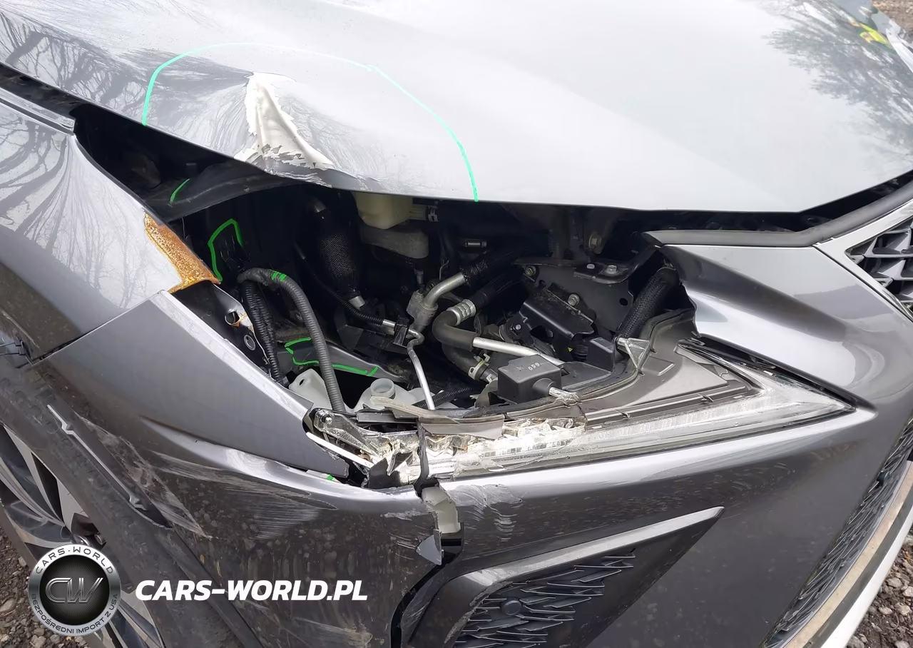 2021 Lexus Nx 300 F Sport VIN:JTJSARDZ0M2240501 - 17