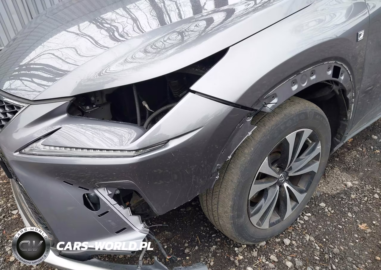 2021 Lexus Nx 300 F Sport VIN:JTJSARDZ0M2240501 - 19