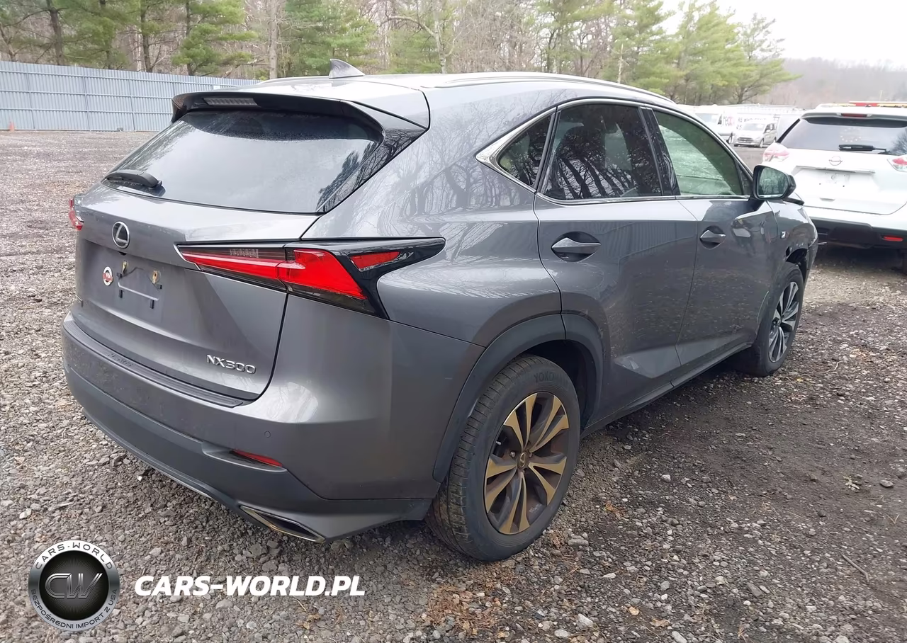 2021 Lexus Nx 300 F Sport VIN:JTJSARDZ0M2240501 - 4