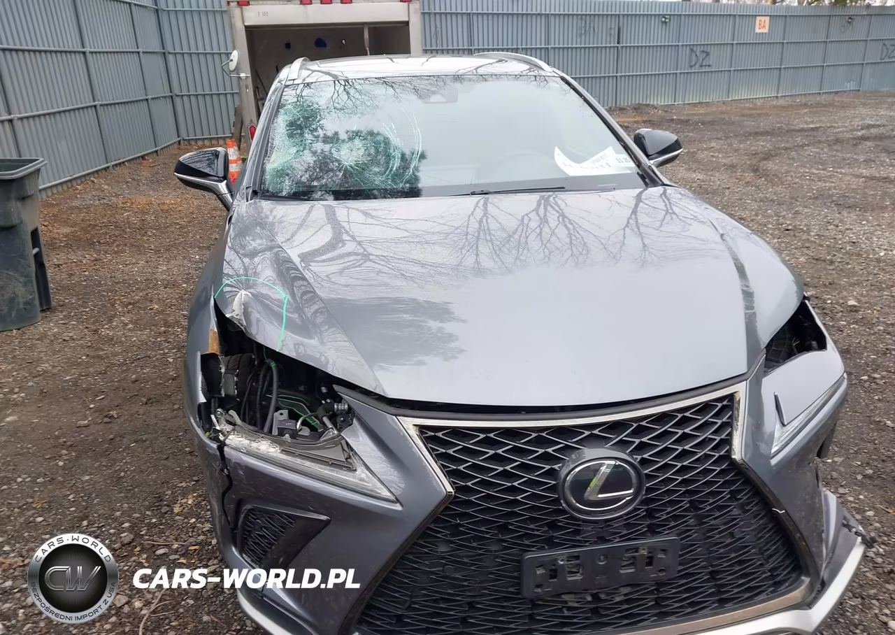 2021 Lexus Nx 300 F Sport VIN:JTJSARDZ0M2240501 - 6