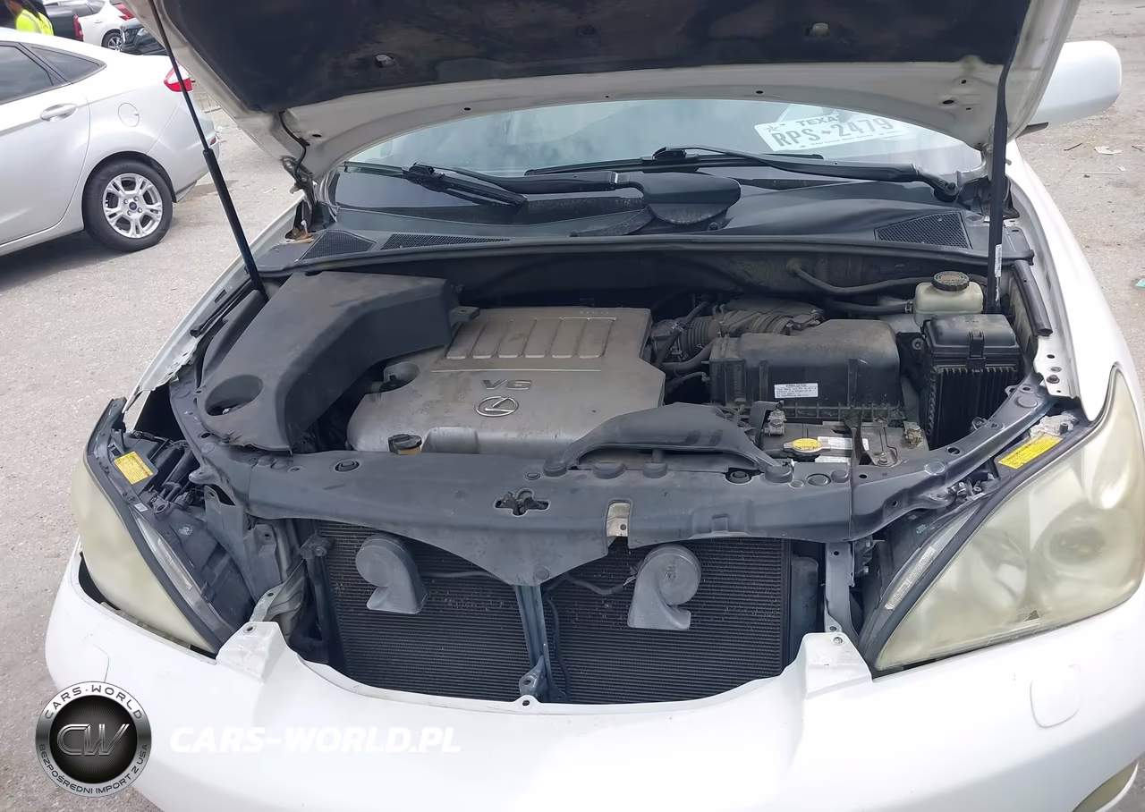 2007 Lexus Rx 350 VIN:2T2GK31U17C011323 - 10