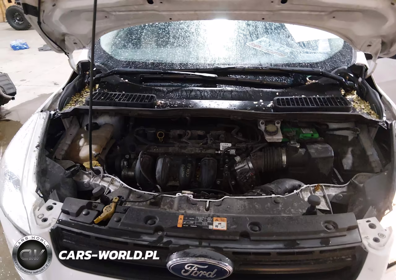 2015 Ford Escape S VIN:1FMCU0F76FUB65666 - 10