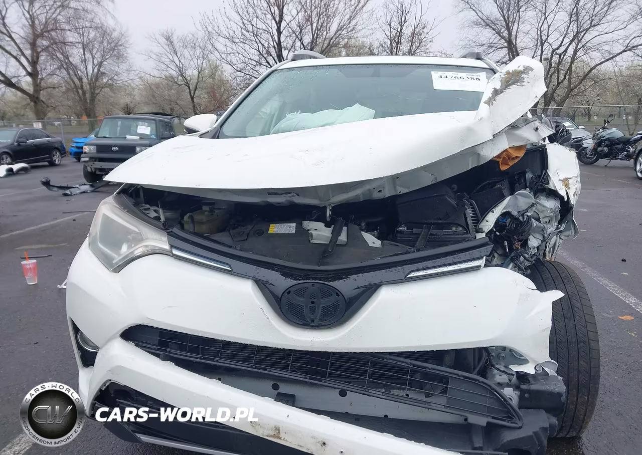 2016 Toyota Rav4 Xle VIN:JTMRFREV1GJ094974 - 12