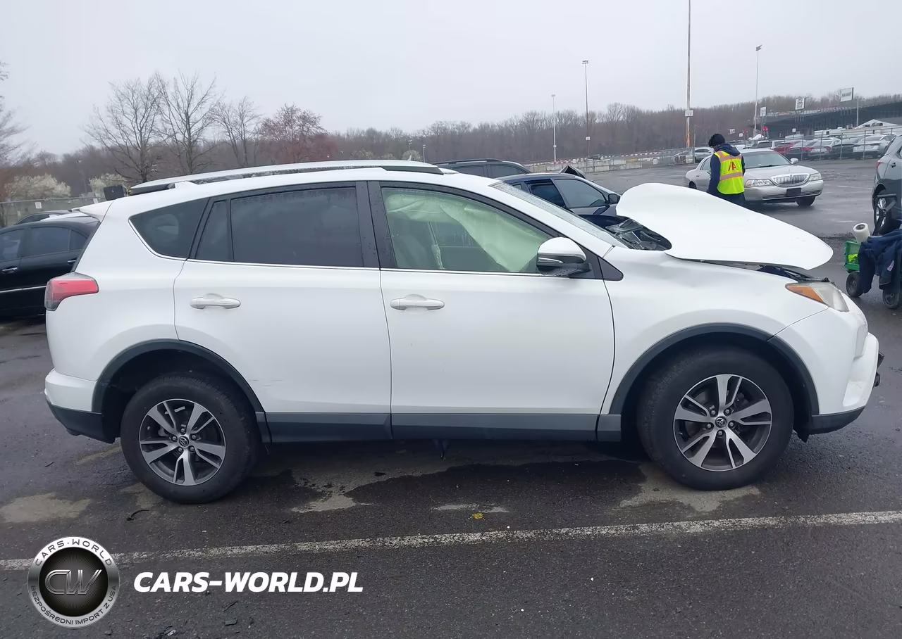 2016 Toyota Rav4 Xle VIN:JTMRFREV1GJ094974 - 13