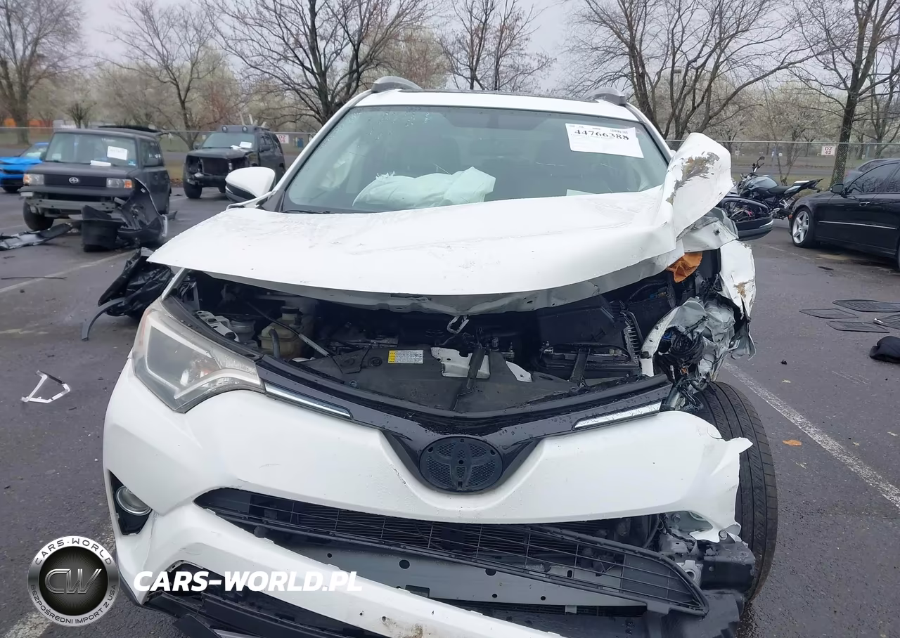 2016 Toyota Rav4 Xle VIN:JTMRFREV1GJ094974 - 6