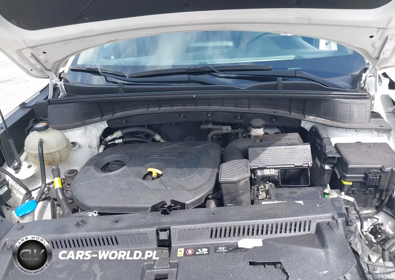 2020 Hyundai Tucson Value VIN:KM8J33A45LU271191 - 10