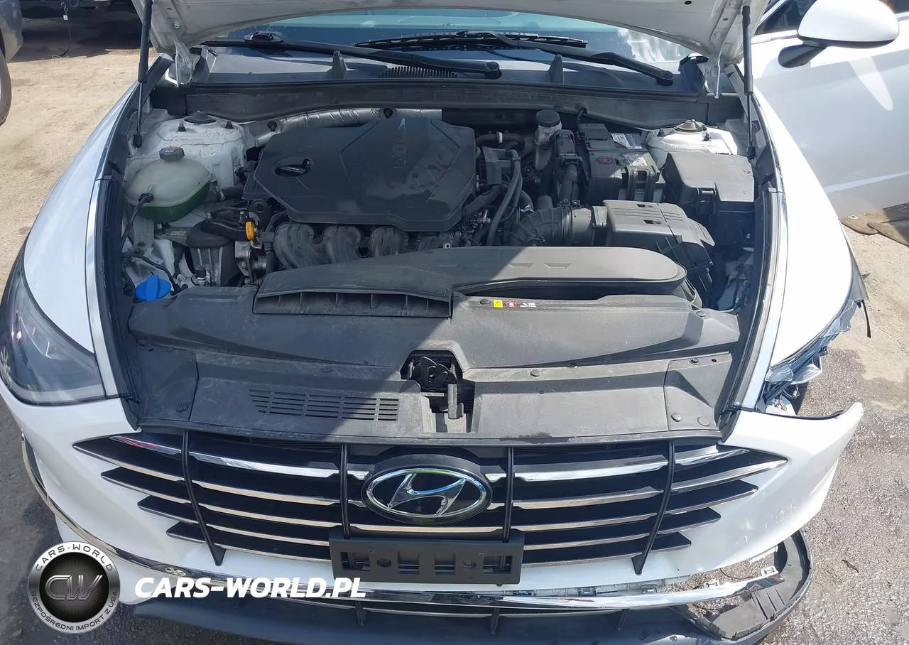 2020 Hyundai Sonata Se VIN:5NPEG4JAXLH054302 - 10
