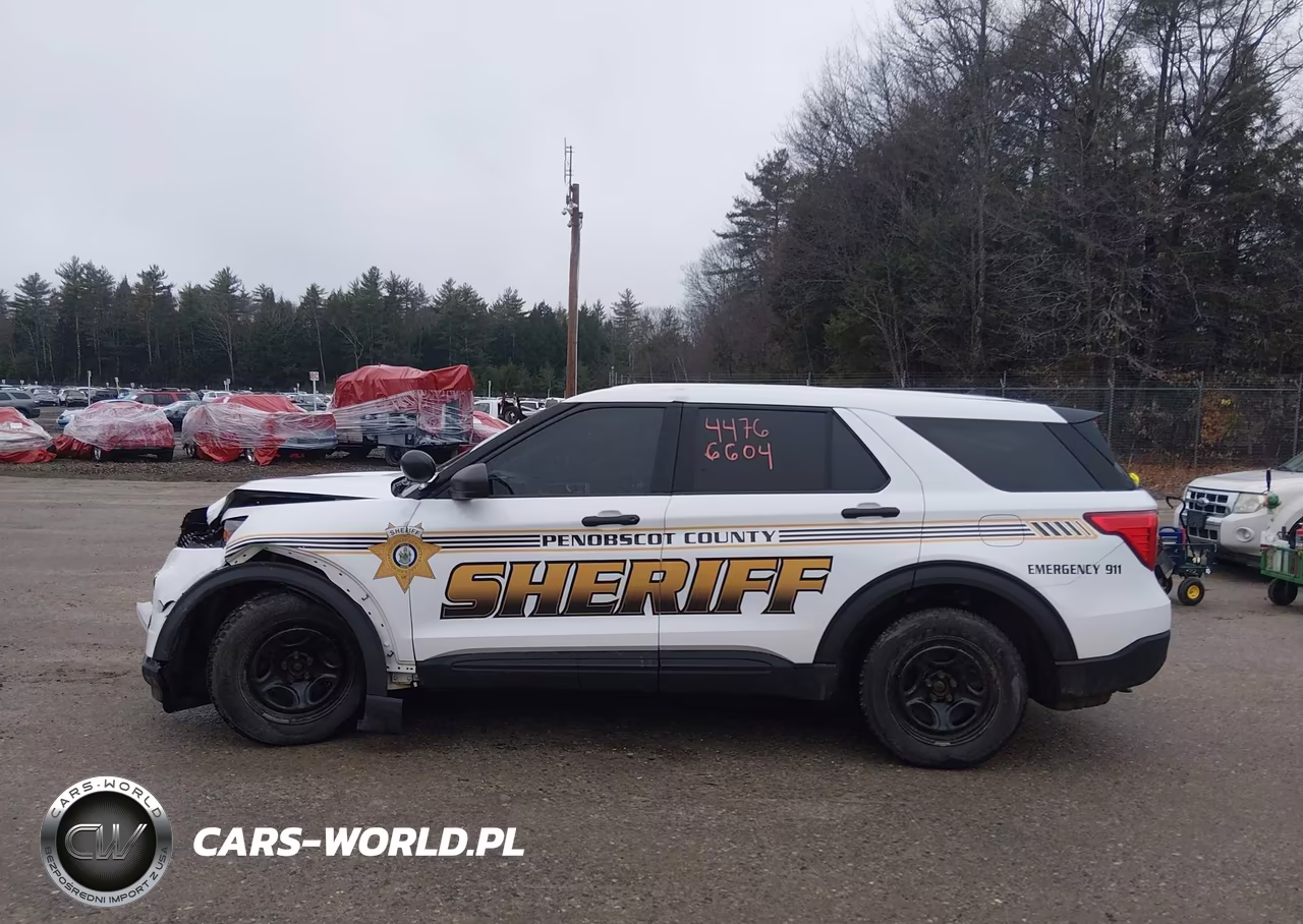2020 Ford Police Interceptor Utility VIN:1FM5K8AB6LGA29735 - 17