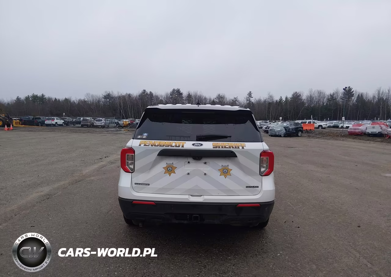2020 Ford Police Interceptor Utility VIN:1FM5K8AB6LGA29735 - 18