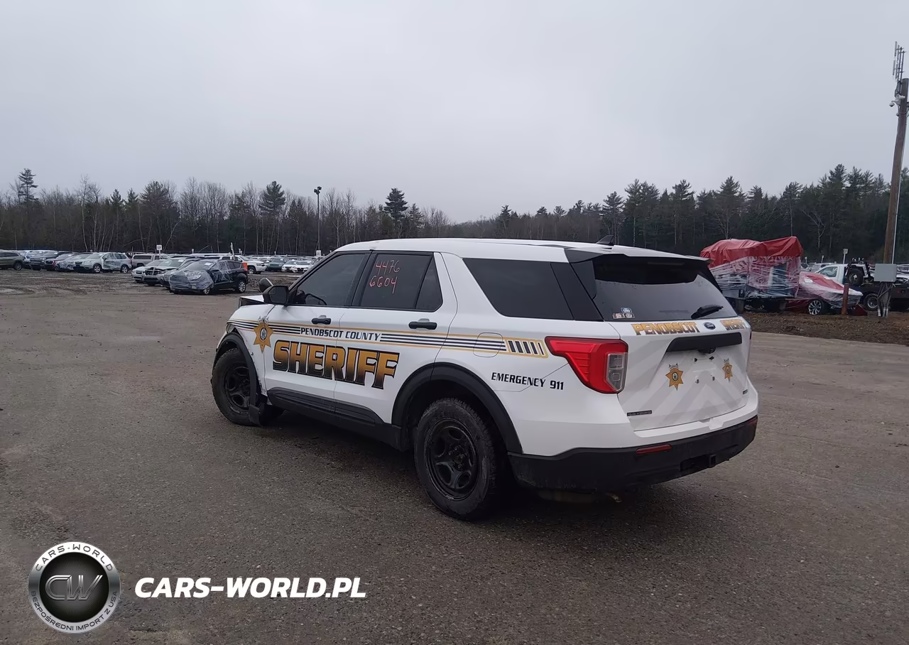 2020 Ford Police Interceptor Utility VIN:1FM5K8AB6LGA29735 - 3
