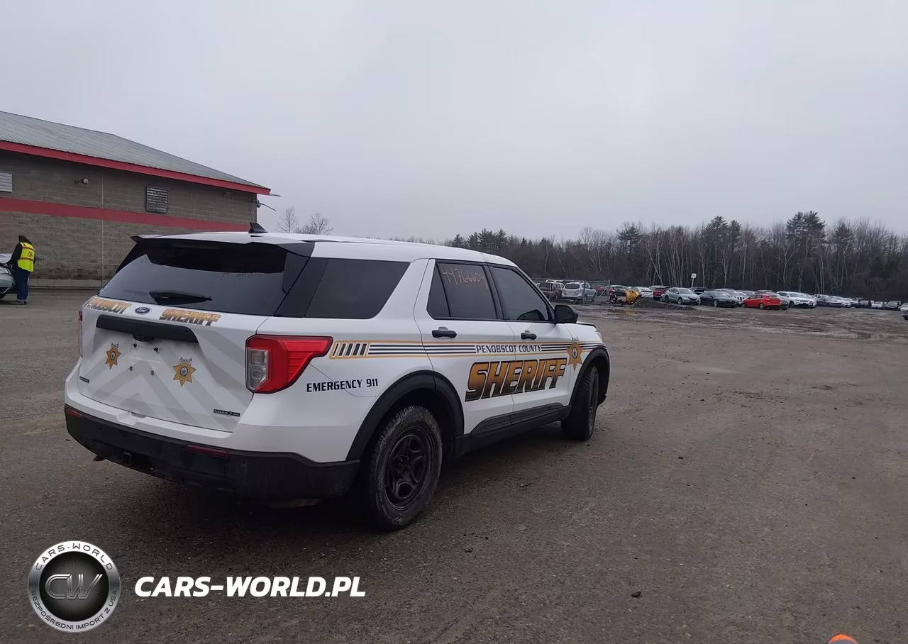 2020 Ford Police Interceptor Utility VIN:1FM5K8AB6LGA29735 - 4
