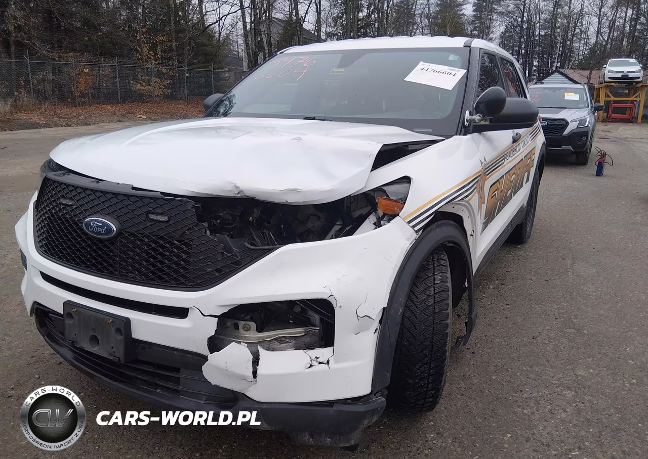 2020 Ford Police Interceptor Utility VIN:1FM5K8AB6LGA29735 - 6