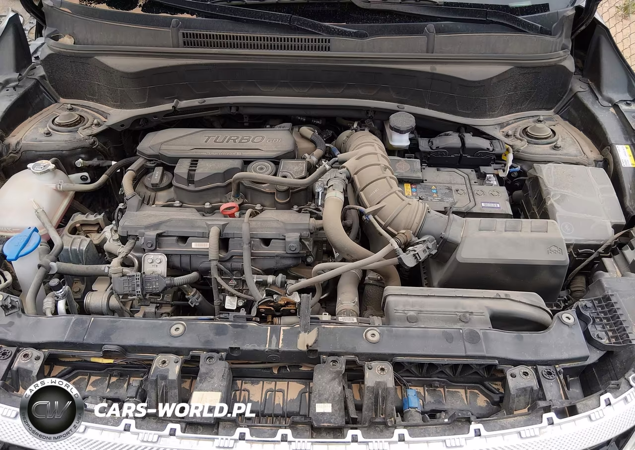 2024 Kia Seltos Sx Turbo VIN:KNDETCA7XR7563569 - 10