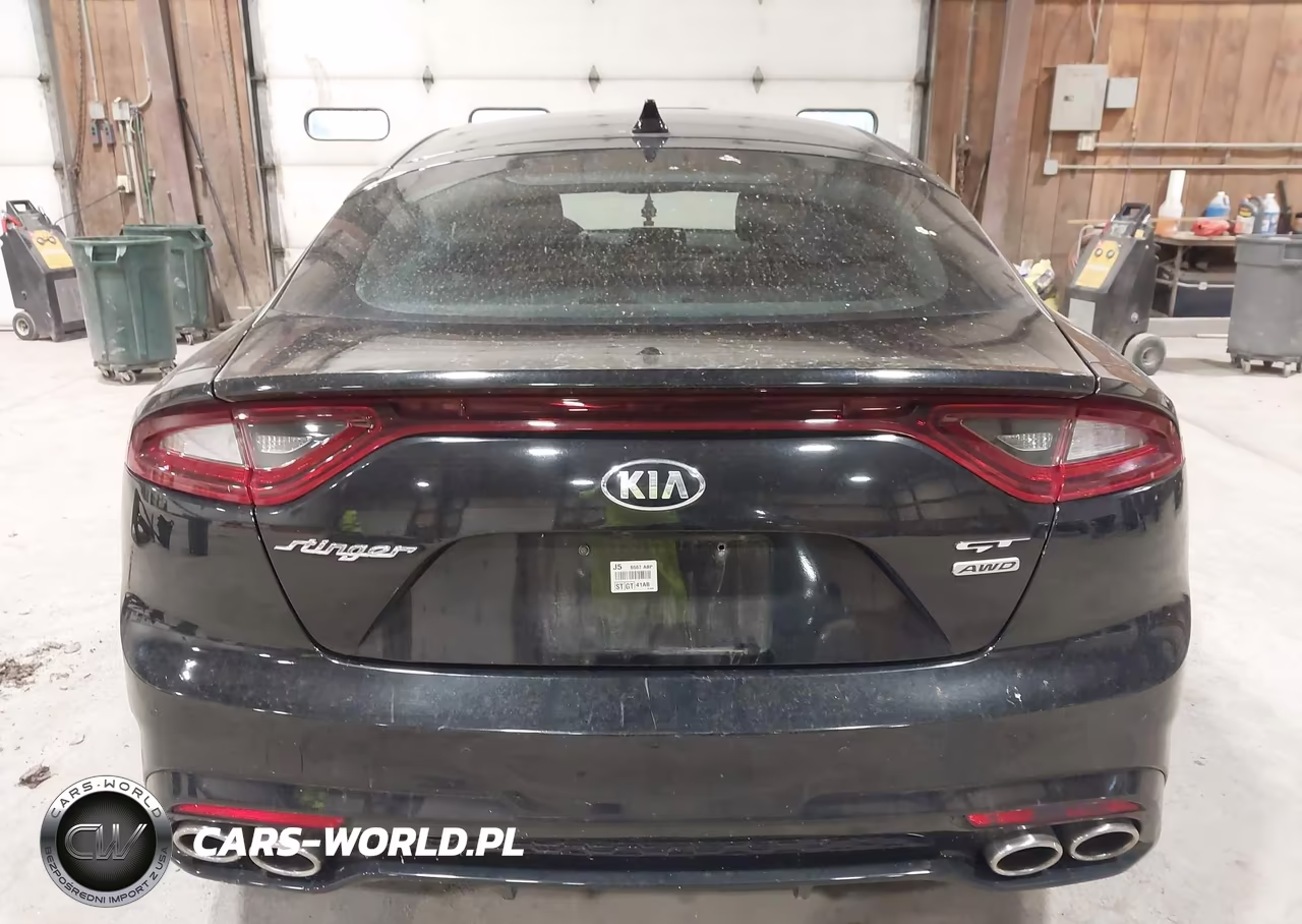 2018 Kia Stinger Gt1 VIN:KNAE45LC4J6024911 - 17
