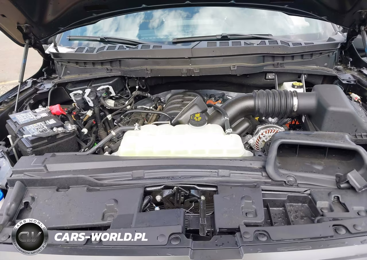 2025 Ford F-150 Tremor VIN:1FTFW4L50SFC20990 - 10