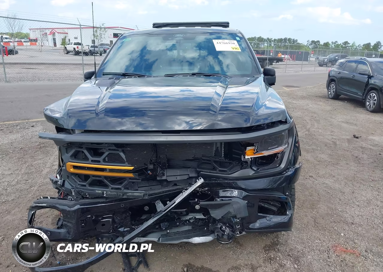 2025 Ford F-150 Tremor VIN:1FTFW4L50SFC20990 - 12