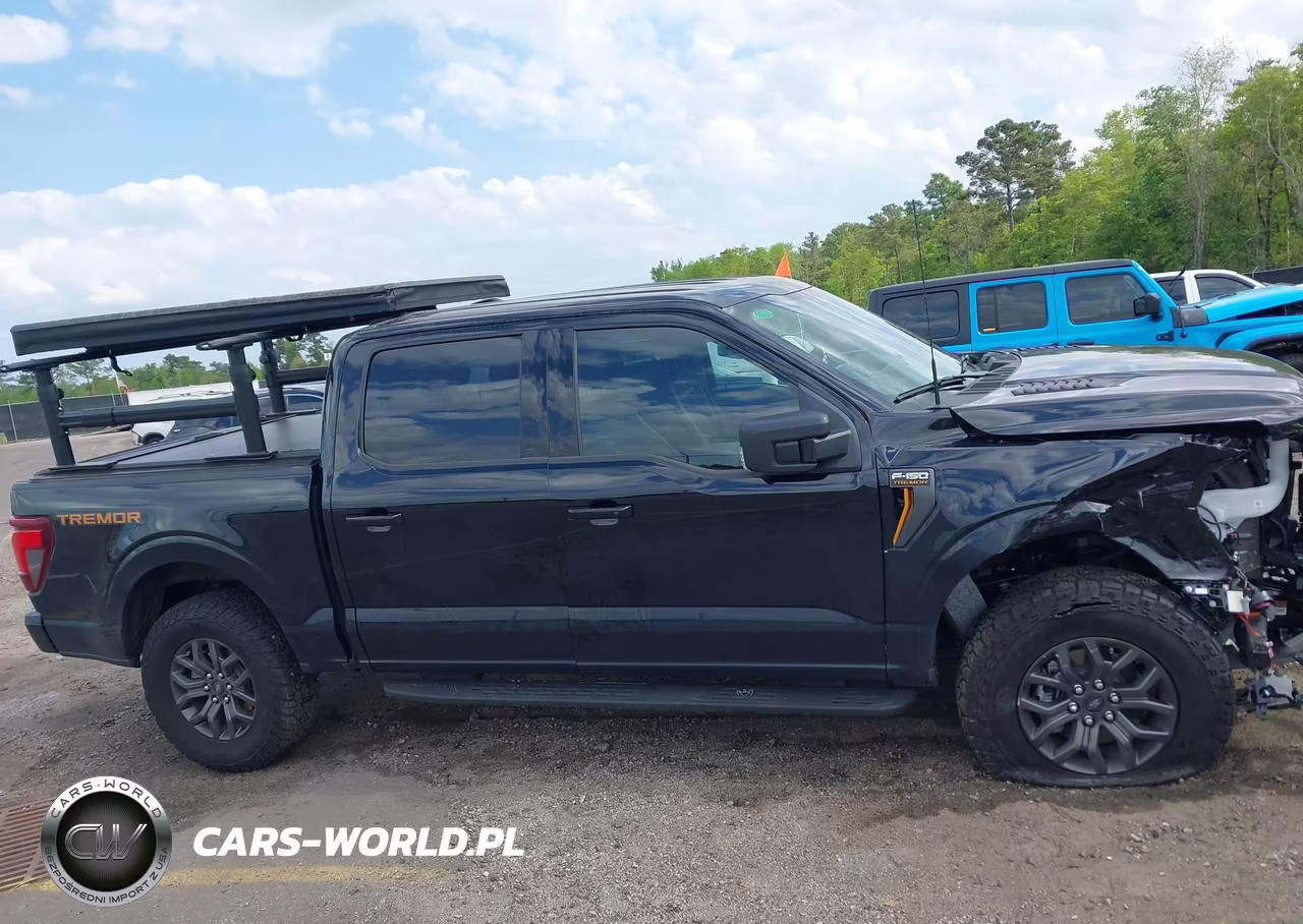 2025 Ford F-150 Tremor VIN:1FTFW4L50SFC20990 - 13
