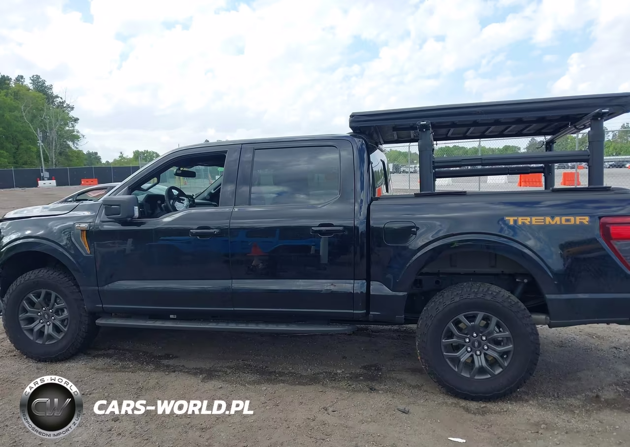 2025 Ford F-150 Tremor VIN:1FTFW4L50SFC20990 - 14