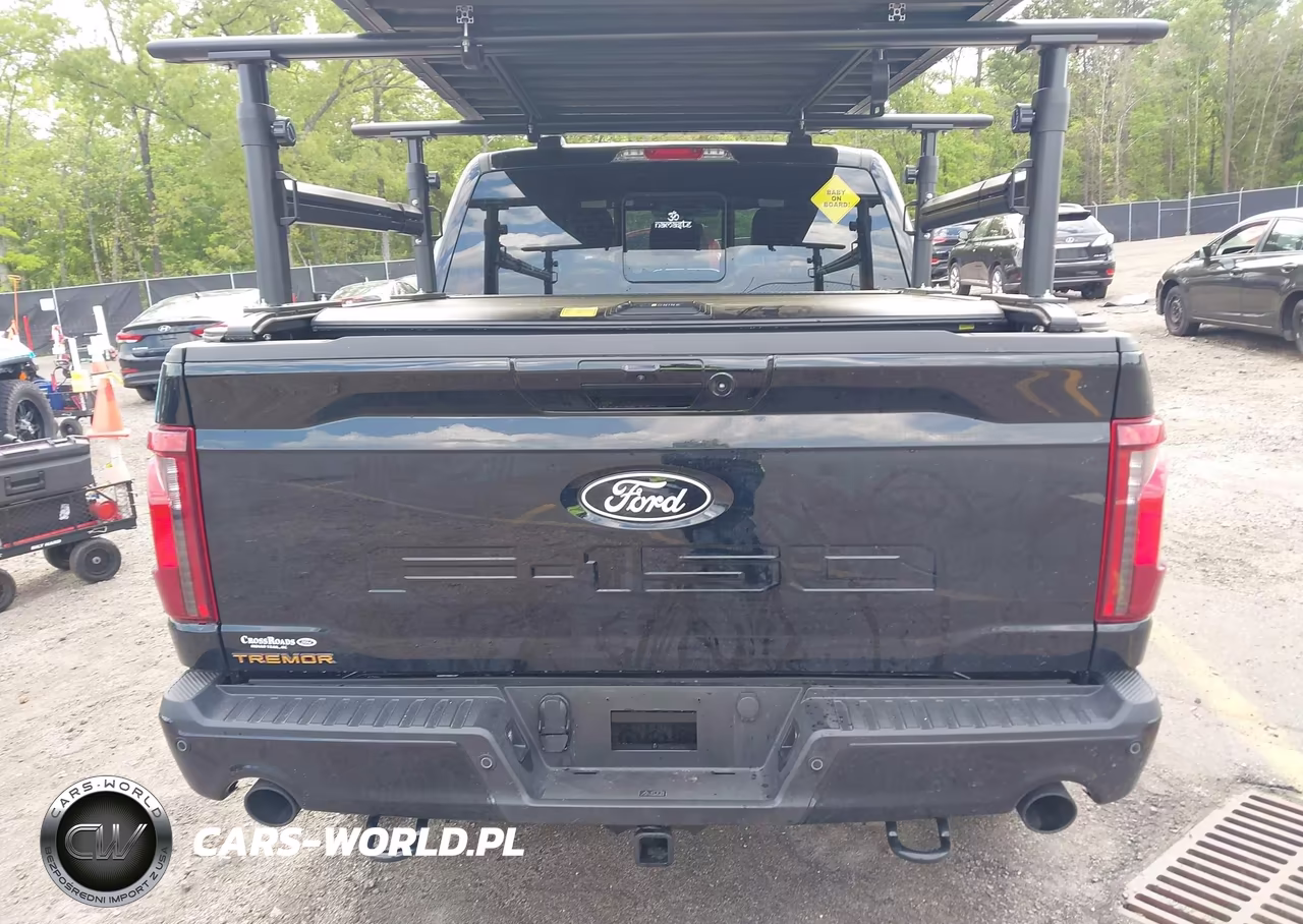 2025 Ford F-150 Tremor VIN:1FTFW4L50SFC20990 - 16