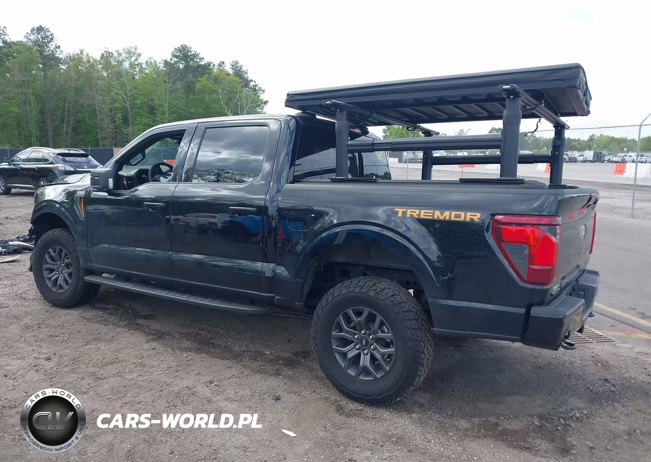 2025 Ford F-150 Tremor VIN:1FTFW4L50SFC20990 - 3