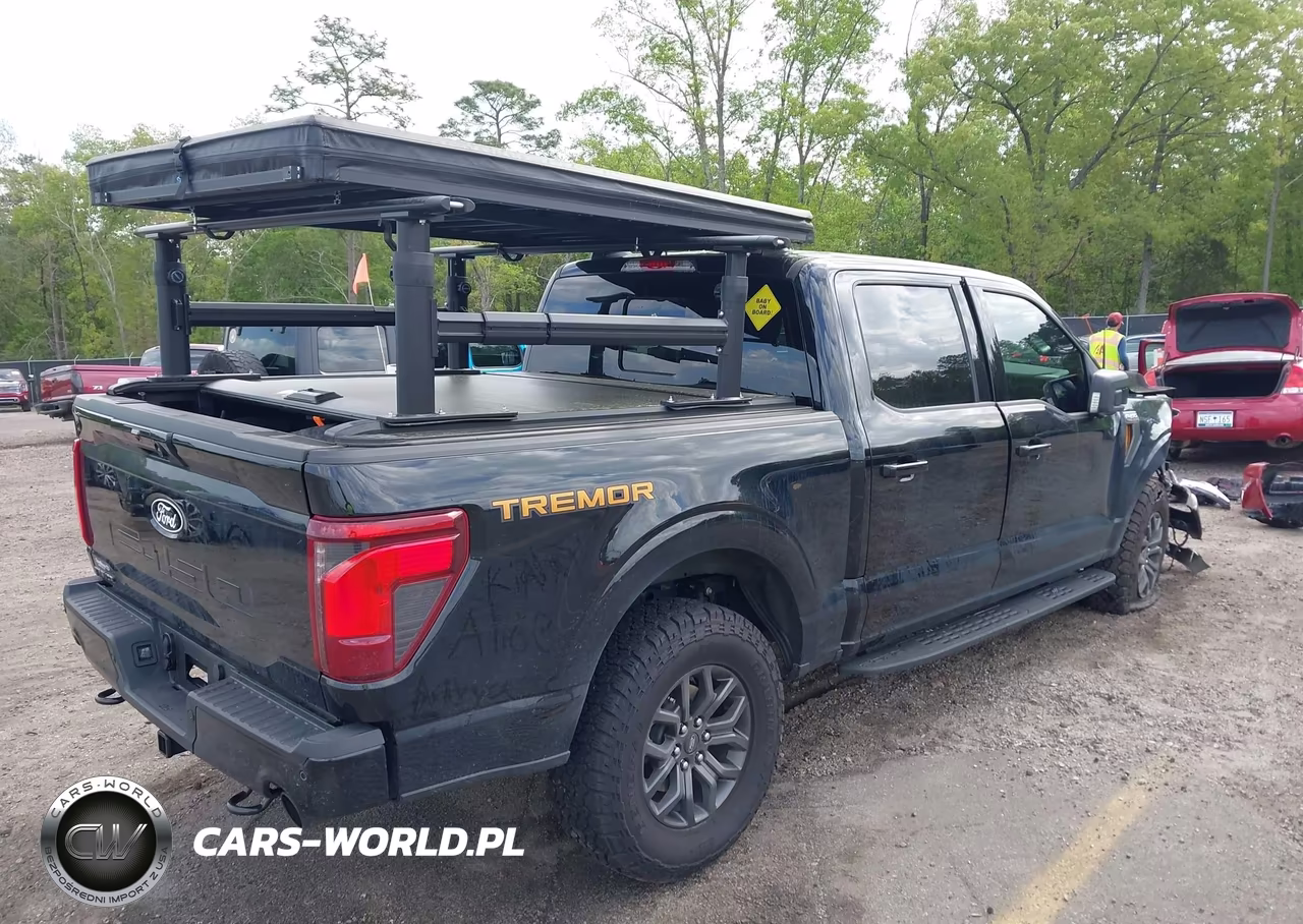 2025 Ford F-150 Tremor VIN:1FTFW4L50SFC20990 - 4