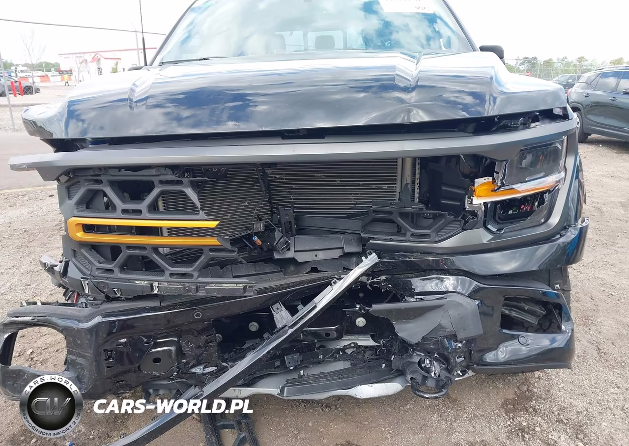 2025 Ford F-150 Tremor VIN:1FTFW4L50SFC20990 - 6