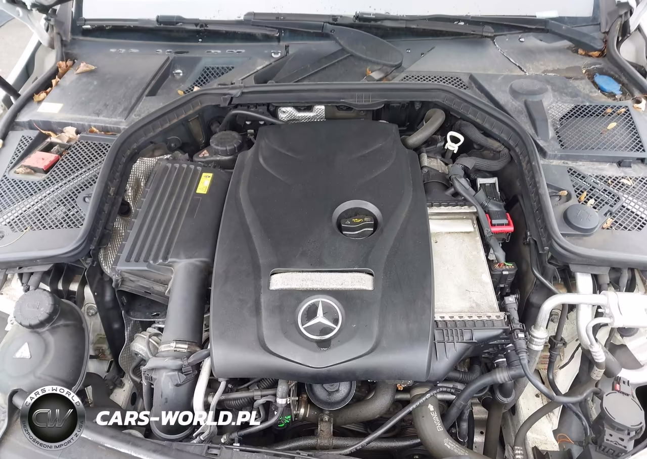 2015 Mercedes-Benz C 300 4Matic VIN:55SWF4KB5FU010675 - 10