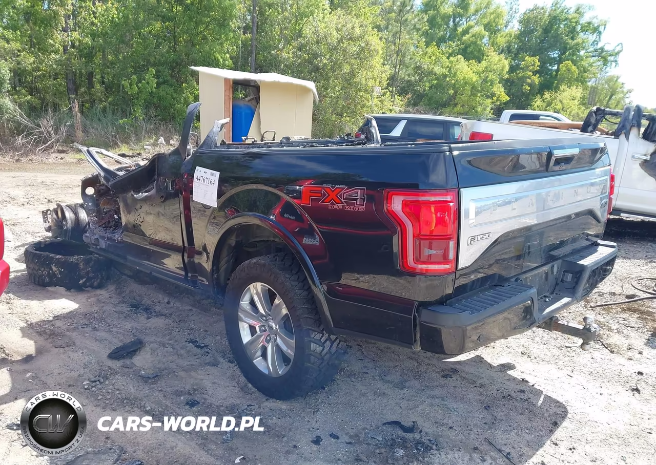 2015 Ford F-150 Platinum VIN:1FTEW1EG0FFC86129 - 3