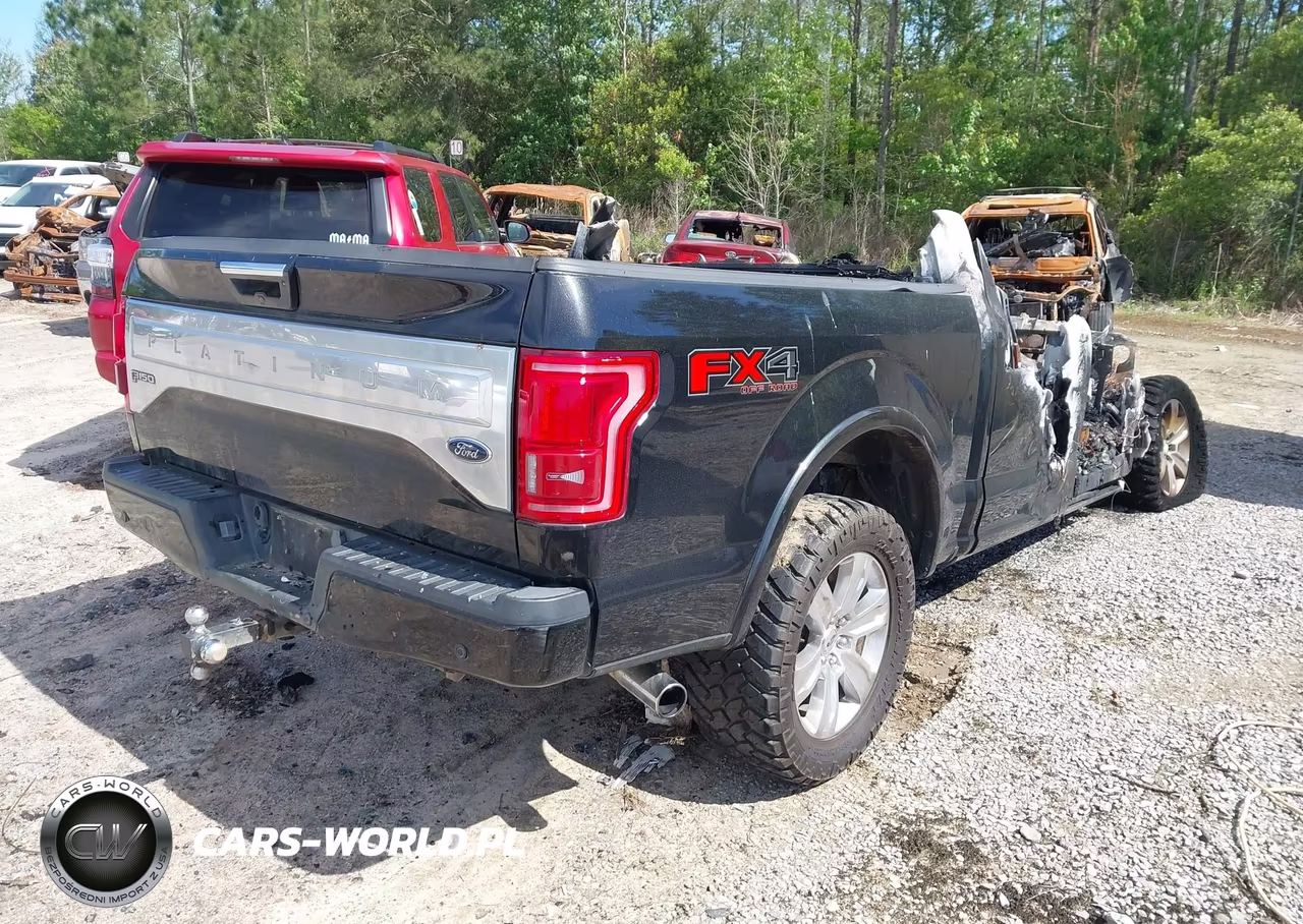 2015 Ford F-150 Platinum VIN:1FTEW1EG0FFC86129 - 4