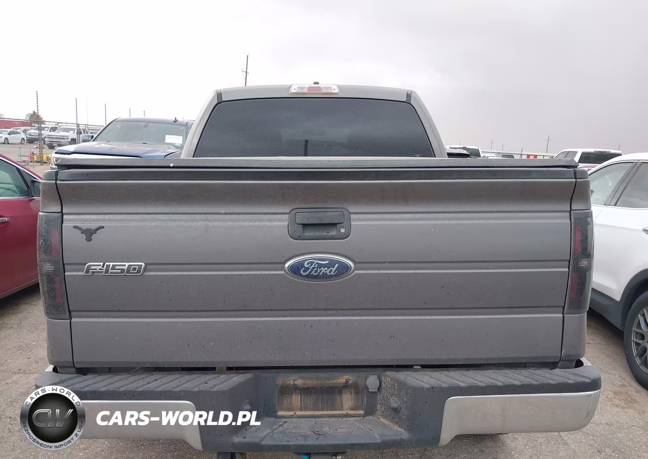 2010 Ford F-150 Xl-Xlt VIN:1FTEW1E84AKB45346 - 17