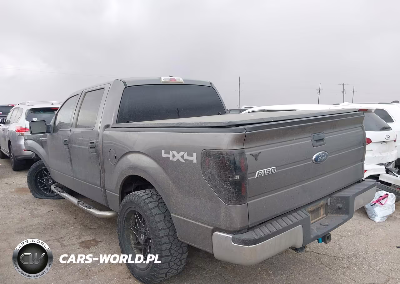 2010 Ford F-150 Xl-Xlt VIN:1FTEW1E84AKB45346 - 3