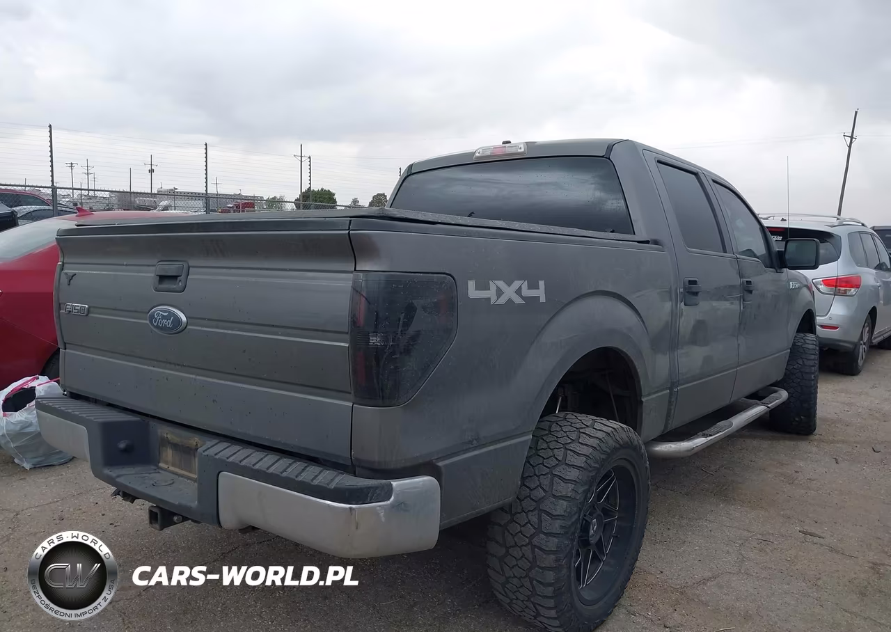 2010 Ford F-150 Xl-Xlt VIN:1FTEW1E84AKB45346 - 4