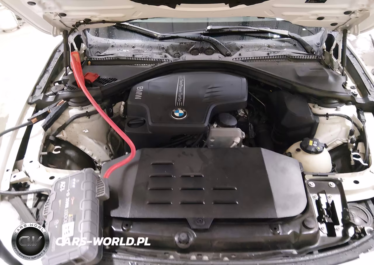 2015 BMW 320I xDrive VIN:WBA3C3C55FK203005 - 10