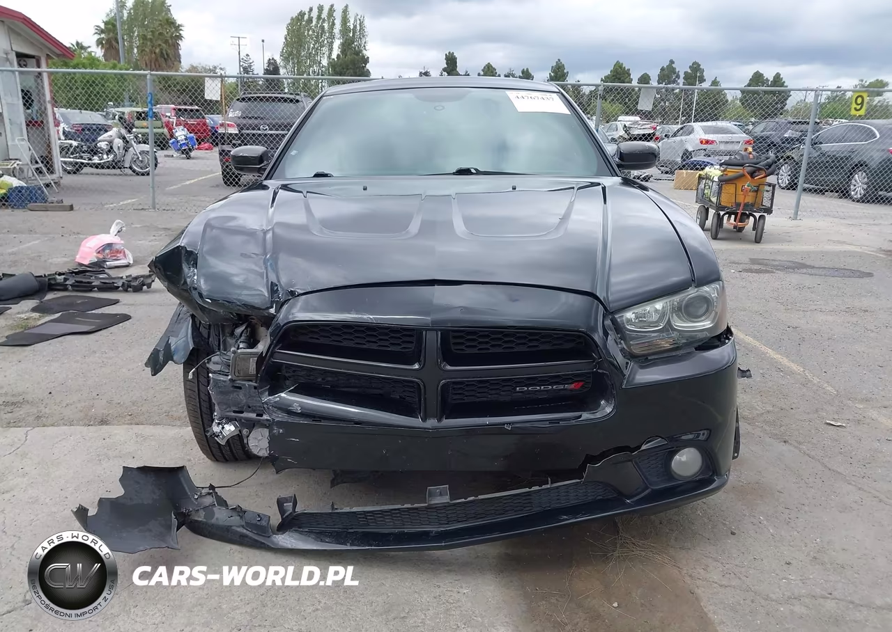 2013 Dodge Charger R-T Plus VIN:2C3CDXCT4DH545401 - 13